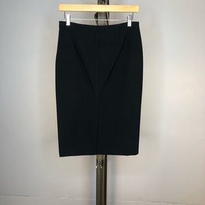 Alberta Ferretti Pencil Skirt with stitching